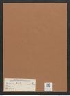 Navicula bahusiensis Grun. (de-Toni-Nr.: Genus 1, Species 631) Zeichnungen Sammlung Grunow Mappe 00539 (Herbarium_W_Grunow_drawings_Folder_00539)